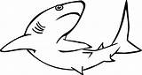 Hiu Mewarnai Requin Binatang Coloriages Hewan Untuk Laut Webstockreview Paus sketch template