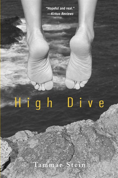 high dive  tammar stein everyday reading