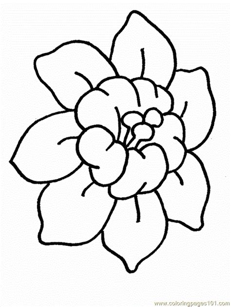 flower page printable coloring sheets printable coloring page