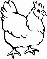 Kippen Dieren Chicken Hen Animaatjes Kip Sheets sketch template