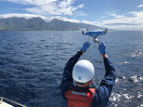 flying drones save whales trapped  fishing gear