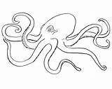 Octopus Pieuvre Coloriage Dessin Polvo Colorir Promising Colorier Coloriages Getdrawings sketch template