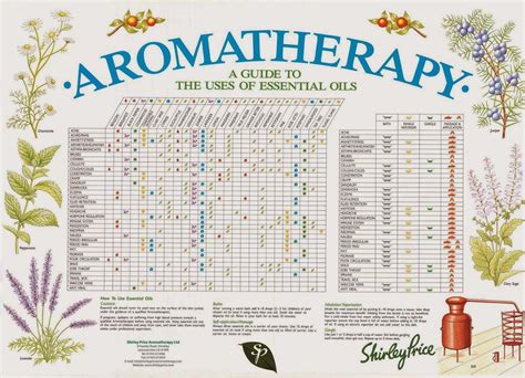 guide  essential oils charts
