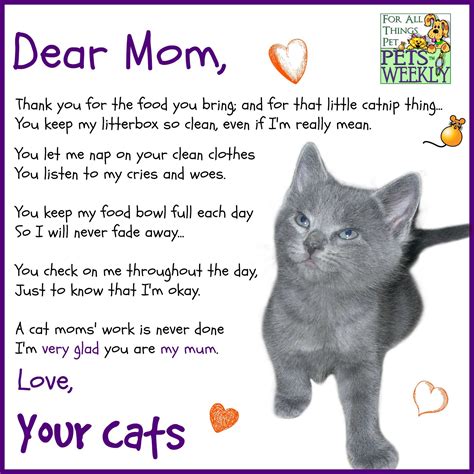 happy mothers day petsweeklycom