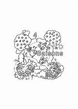Coloring Seasons Kids Print Color Pages sketch template