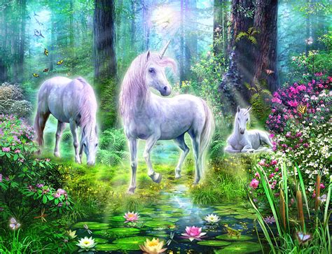 forest unicorn family photograph  mgl meiklejohn graphics licensing