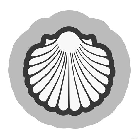 shell clipart shell scallop picture  shell clipart shell scallop