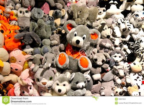 teddy bear wall editorial stock image image  color