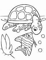 Colouring Kids Pages Coloring Children Printable Fish Colour Color Turtle Organised Housewife Kindness Encourage Positive Kind These Turtles sketch template