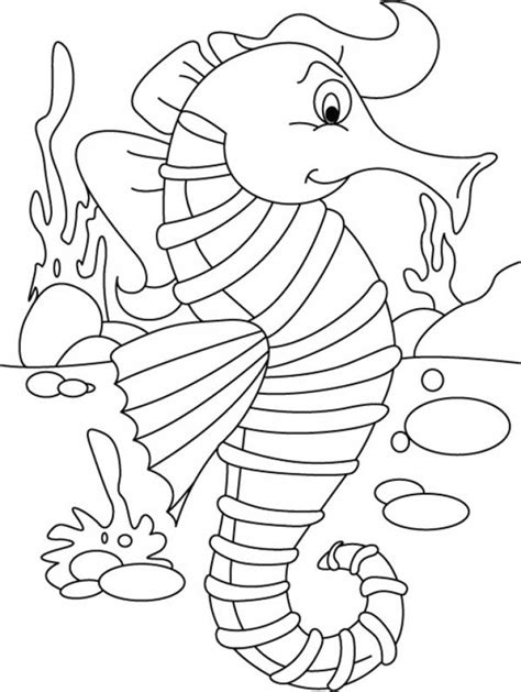 seahorse coloring pages  printable
