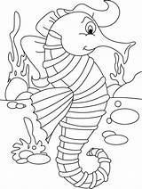 Seahorse Laut Kuda Mewarnai Sea Kartun Anak Warnai Binatang Kidsplaycolor sketch template