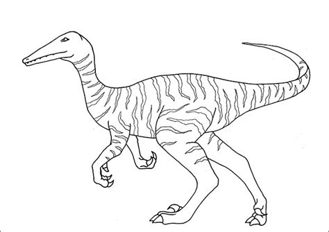 dinosaur coloring page templates  illustrator  png svg jpg