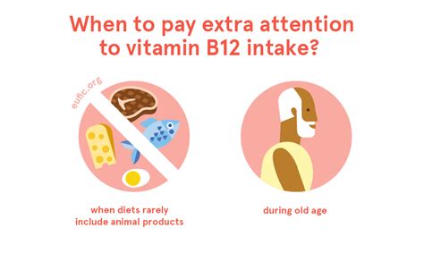 Vitamin B12 Foods Functions How Much Do You Need And More Eufic