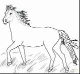 Horse Coloring Pages Printable Mustang Appaloosa Horses Wild Head Pony Pretty Quarter Realistic Color Herd Print Getcolorings Cute Paint Getdrawings sketch template