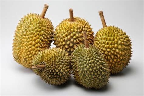 Manfaat Buah Durian Bagi Kesehatan Lifestyle News 32928 Hot Sex Picture
