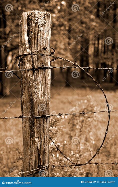 fence post  barbed wire stock photo image  post