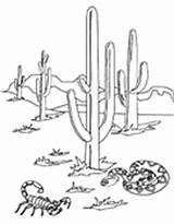 Desert Coloring Asu Pages Biologist Ask Askabiologist Pdf Animals Color Worksheet Worksheets Cactus Edu sketch template