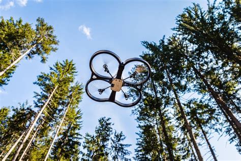 scout drone   forest stock image image  camouflage