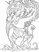 Daphne Dafne Apolo Mythology Mitologia Athena Greca Lacocinadenova Ninos Goddess sketch template