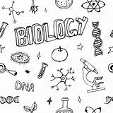 Biology Science Doodles Vector Pattern Drawing Symbols Seamless Stock Background Illustration Biologia Depositphotos Dibujos Portadas School Icons Set sketch template