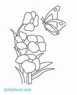 Coloring Pages Butterfly Magical Kids Printable sketch template