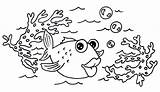 Colouring Seaside Fish Summer Tes Resources sketch template