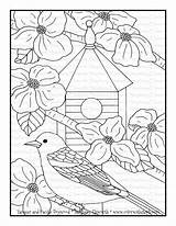Dogwood Tanager sketch template