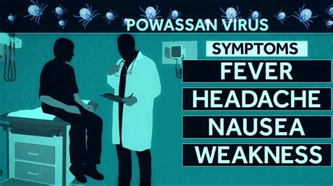 health officials warn of deadly powassan virus nbc news