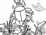 Coloring Pages Insect Realistic Getdrawings Getcolorings sketch template
