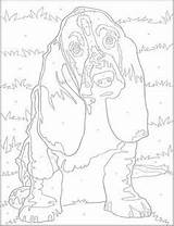 Coloring Haven Dover Publications Adulte Spaniel Doverpublications sketch template
