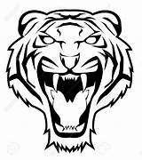 Tiger Face Stencil Tattoo Choose Board Vector Pattern Drawings Angry Clip sketch template