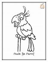 Parrot Perroquet Personnages Coloriages Getdrawings Printablefreecoloring sketch template