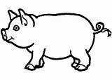 Coloring Pig Template Pages Outline Animal Templates Farm Print Drawing Vector Kids Printable Patterns Animals Draw Clipart Mini Premium Craft sketch template
