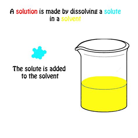 explain  difference   solute   solvent