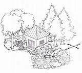Drawing Trees Canopy Landscape Tree House Tips Rainforest Habitat Forest Japanese Draw Maple Desert Getdrawings Using Shade Southwest Outside Summer sketch template
