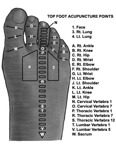the top of the foot hss acp pts