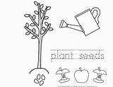 Seeds Johnny Color Appleseed Coloring Pages Plant Planting Grow Apple Tree Kid Pitch Growing Template Popular sketch template