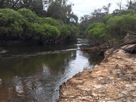 blackwood river western australia rriverporn