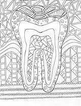 Hygiene Zahnarzt Zahn Hygienist Dentist Kostenlose Jobs Dentistry Bind sketch template