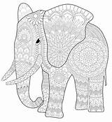 Elefante Mandalas Pintar Elefantes sketch template