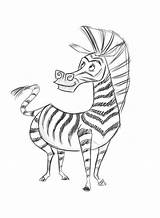 Zebra Madagascar Marty Coloring Pages Drawing Daycoloring Zoo sketch template