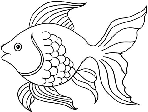 realistic fish drawing  getdrawings