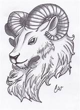 Ram Head Tattoo Sketch Tattoos Search Aries Sketches Paintingvalley Google Explore sketch template