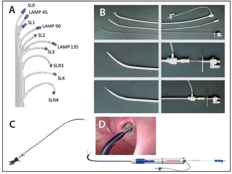 transseptal puncture  step  step procedural guide cardiac