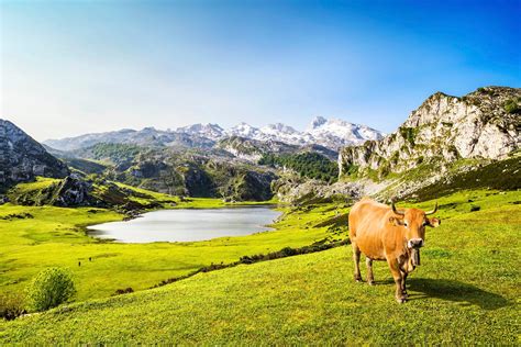 lugares de asturias  deberias visitar skyscanner espana