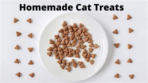 Homemade Cat Treats Cat Sitter Toronto Inc