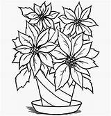 Drawing Vase Coloring Flowers Wallpaper Colour sketch template