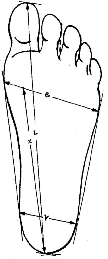foot measurements  scientific diagram