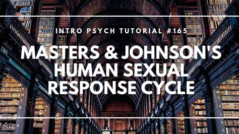 Masters And Johnsons Human Sexual Response Cycle Intro Psych Tutorial
