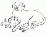 Coloring Great Dane Pages Line Lps Library Clipart sketch template